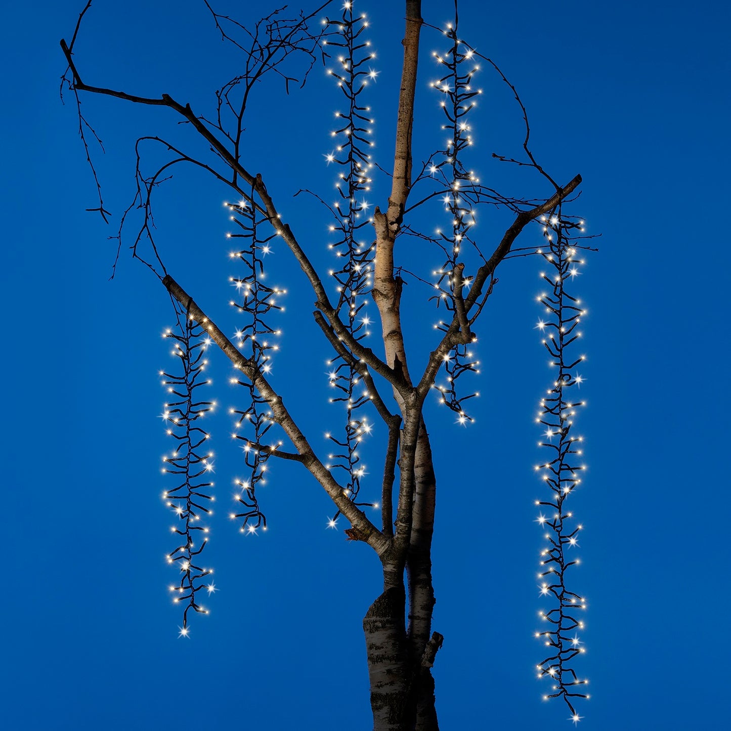 Kaskaden Baumbeleuchtung, Cluster 480 LED 6 Lichtstränge warm weiß